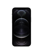 Apple iPhone 12 Pro Max 256 Gb Grafito