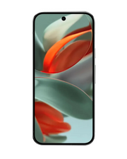 Google Pixel 9 Pro Xl 128 Gb Hazel